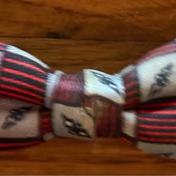 Stylish Multicolor Bow Tie Set